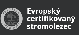 Evropský certifikovaný stromolezec